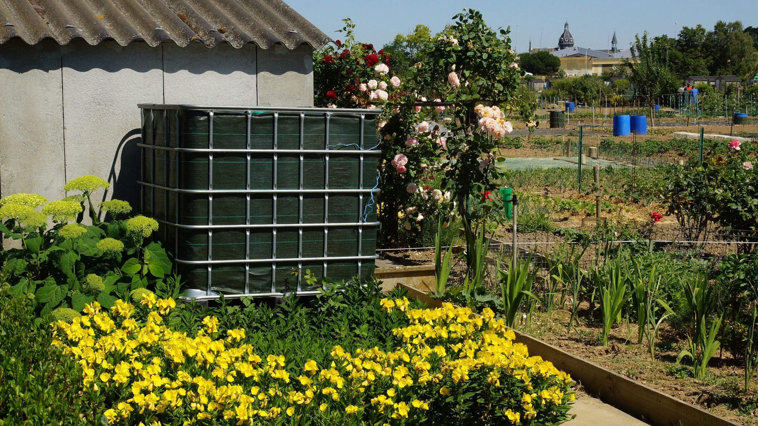 un récupérateur adossé à une maison