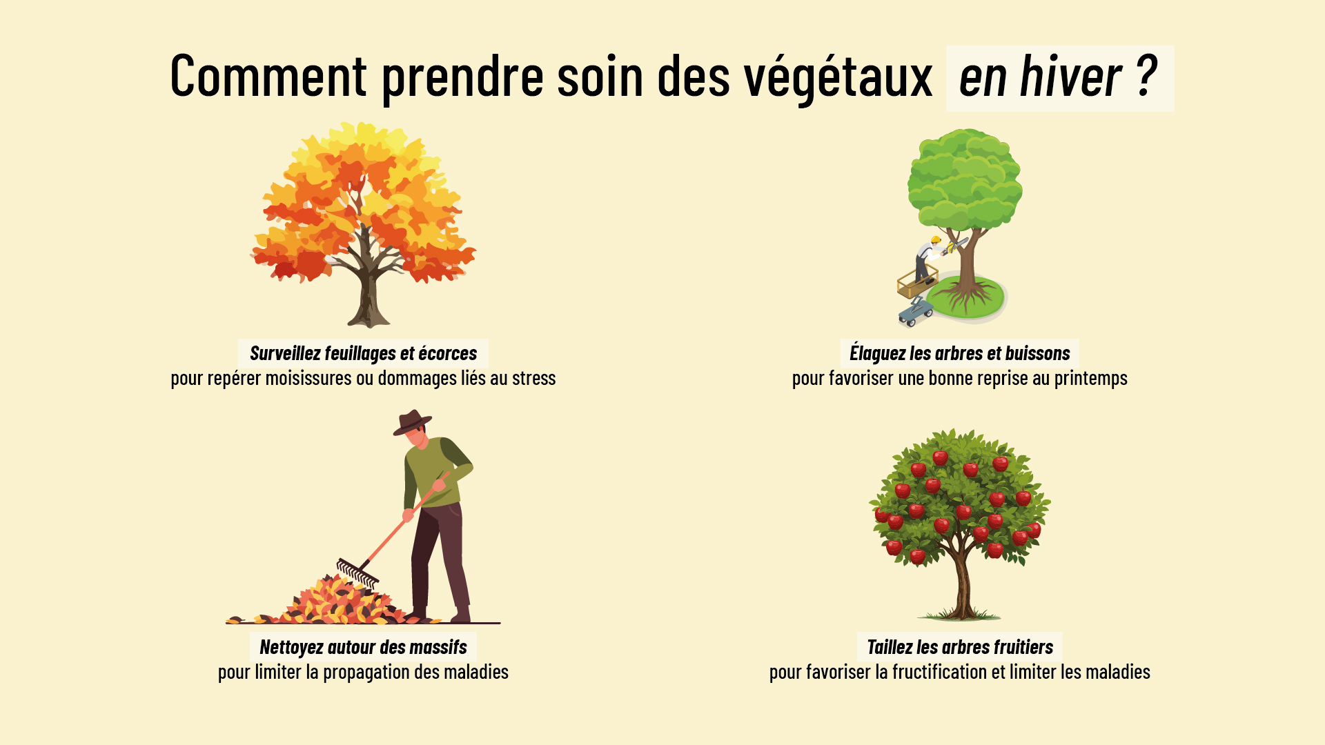 infographie donnant des conseils pour avoir un beau jardin en hiver