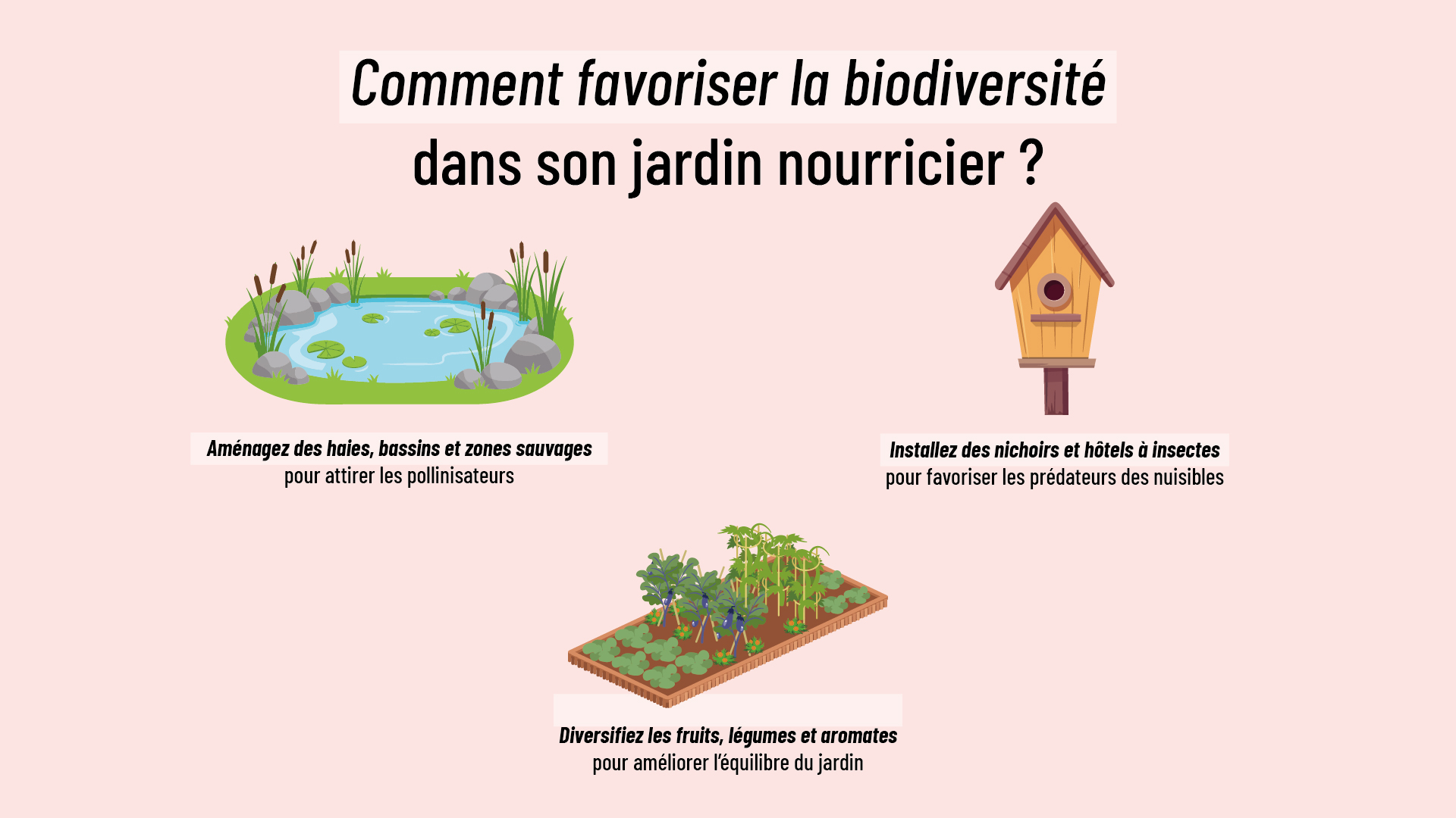 infographie apportant des conseils pour privilégier la biodiversité dans un jardin comestible