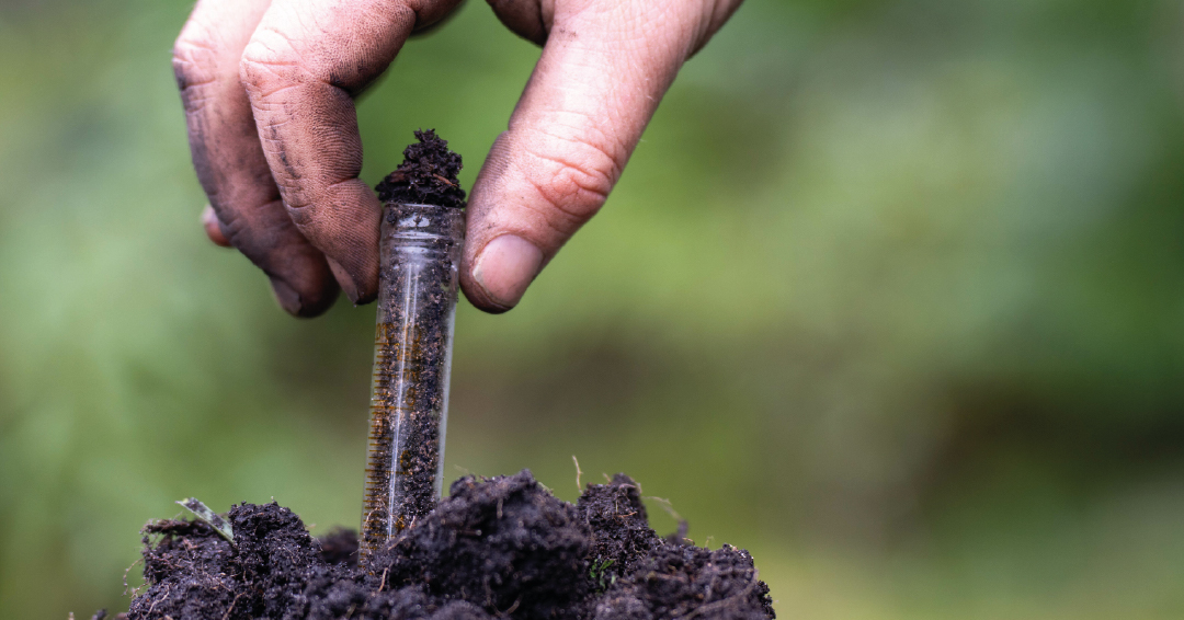 une éprouvette utilisée pour analyser le sol d’un jardin