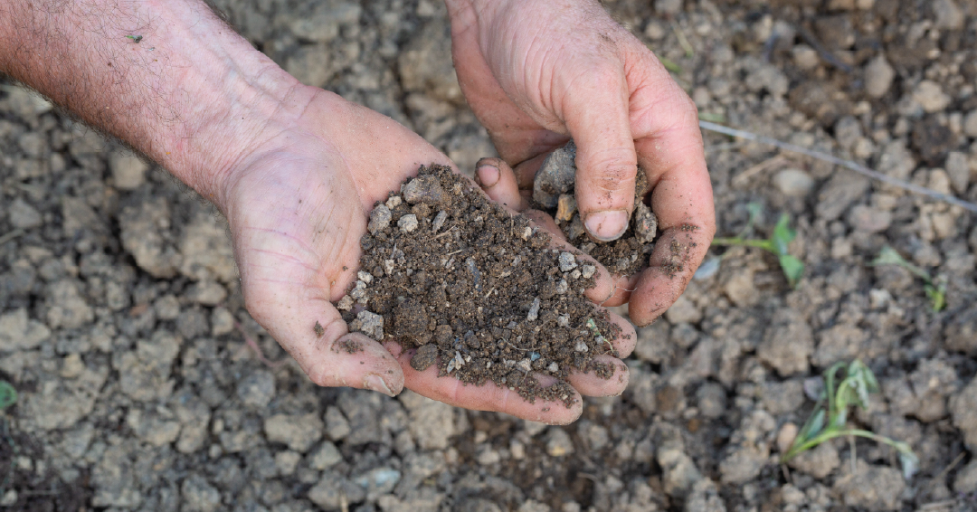 un paysagiste réalisant une analyse de sol avec la végétalisation d’un jardin