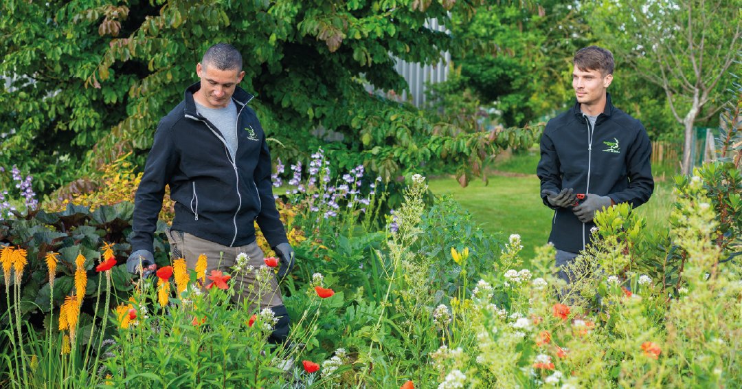 des paysagistes travaillant sur un projet de jardin écologique