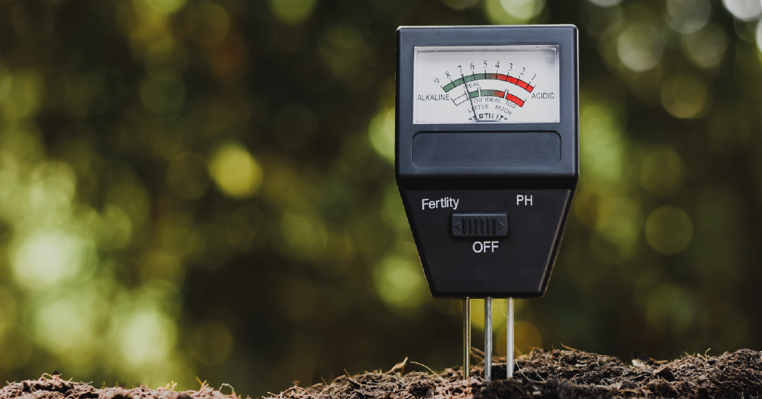 un pH mètre pour mesurer le pH de la terre d’un jardi