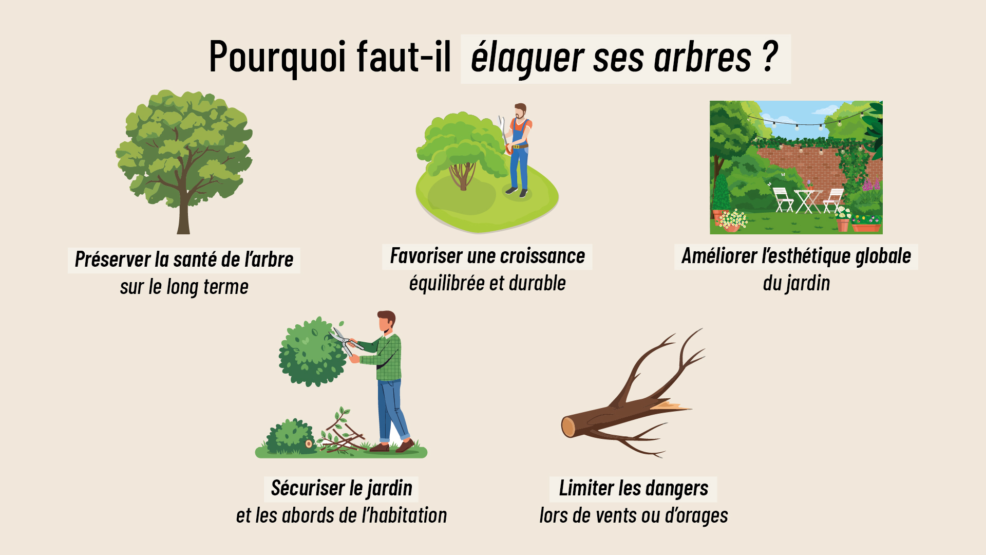 infographie détaillant les intérêts de l'élagage des arbres