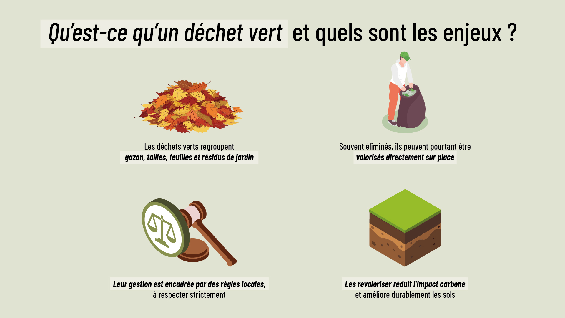 infographie définissant ce qu’est un déchet vert