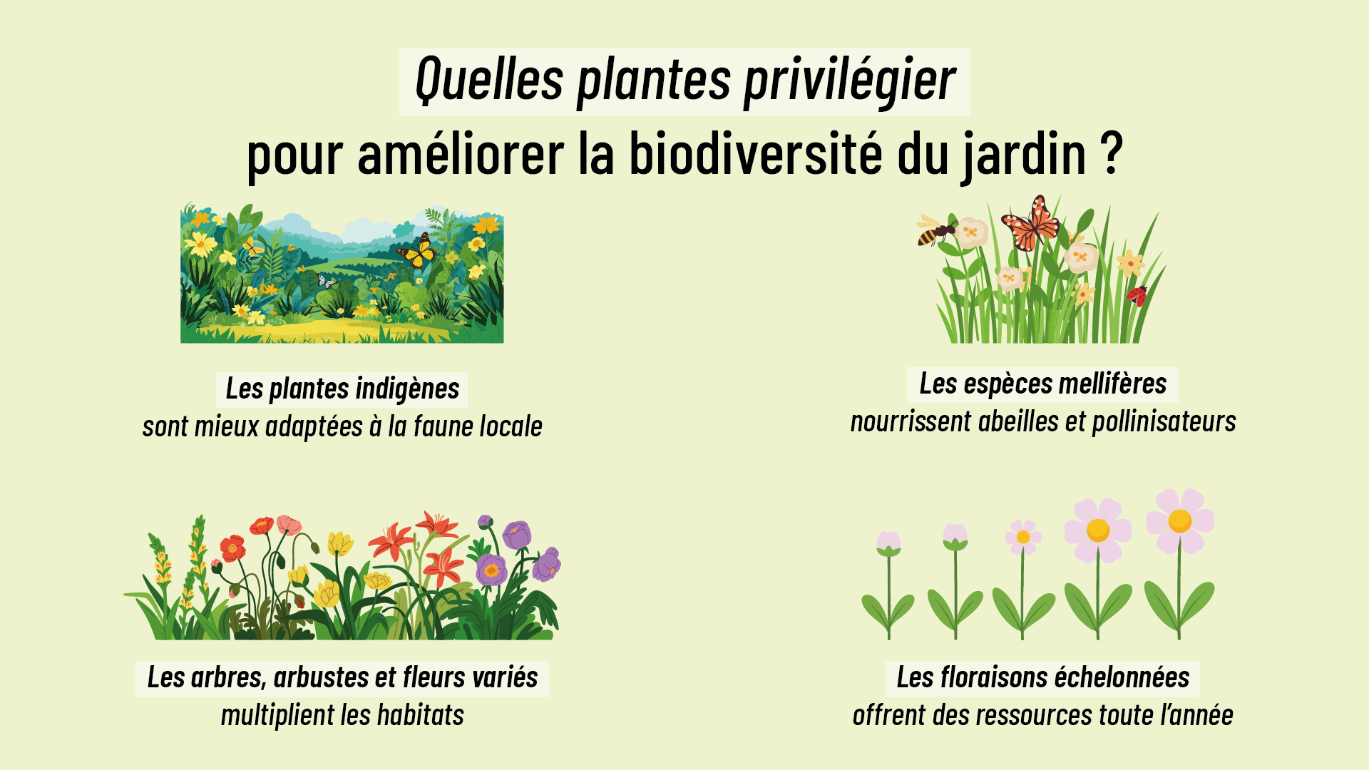 infographie détaillant les plantes à privilégier pour attirer une faune utile