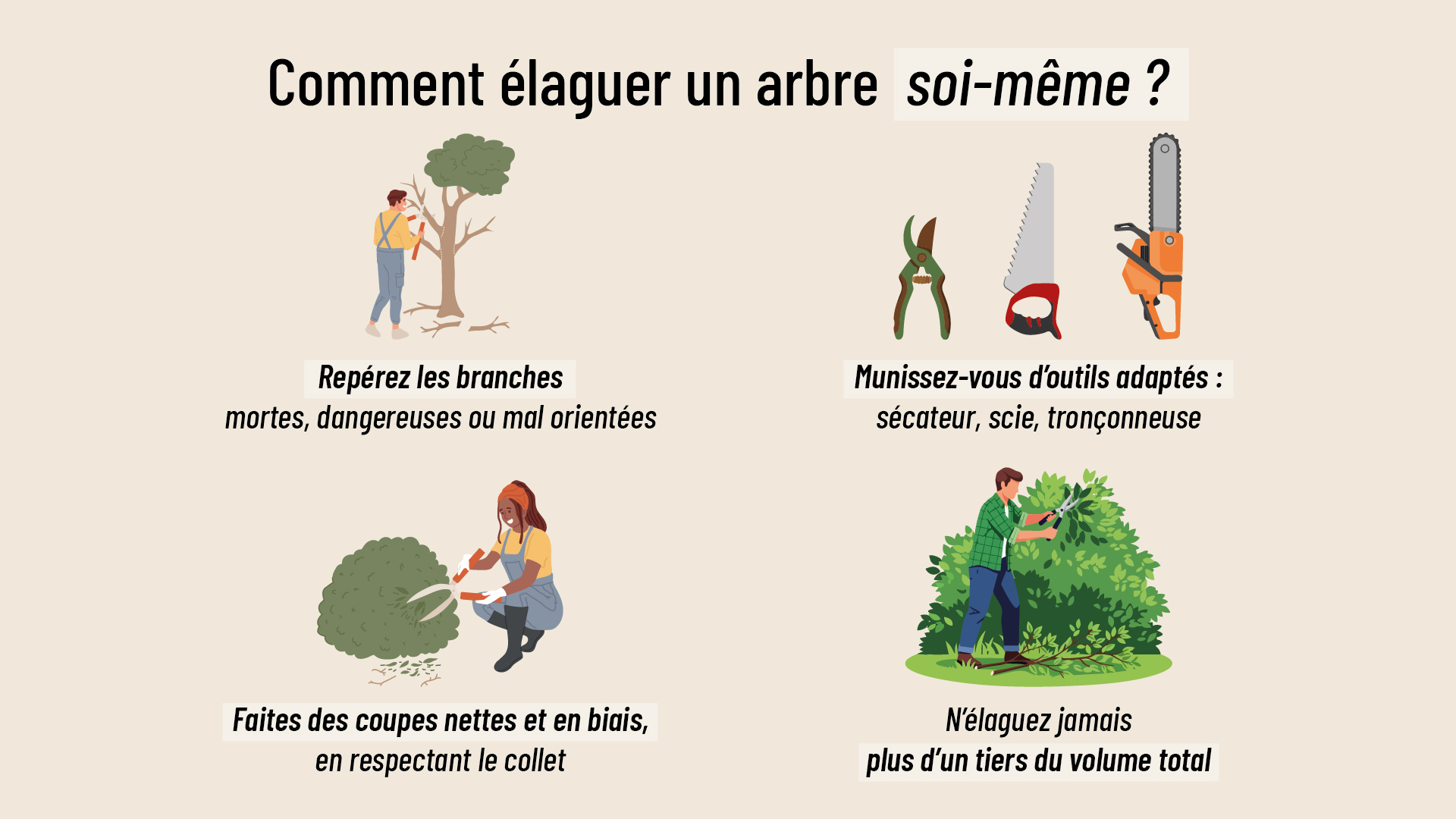 infographie expliquant comment élaguer un arbre soi-même