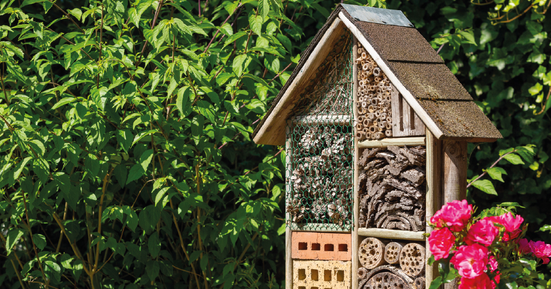 un hôtel à insectes dans un jardin