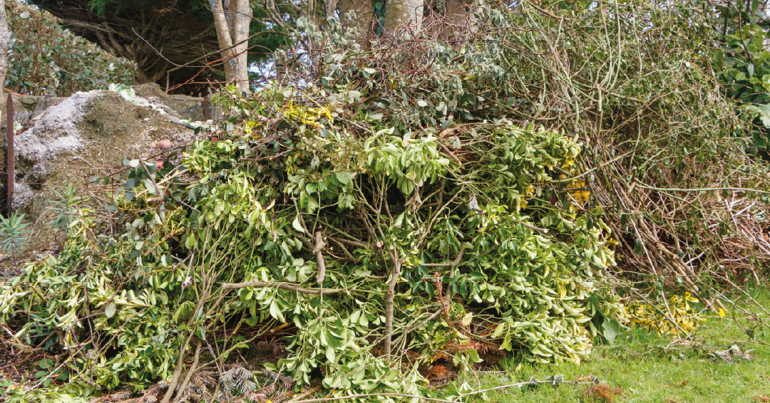 des branchages et feuilles mortes utilisés en compost