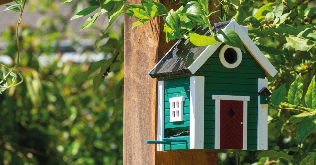 un nichoir pour attirer les oiseaux dans le jardin