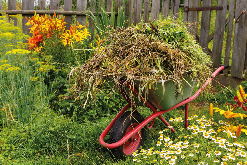 une gestion des déchets verts réalisée par un jardinier