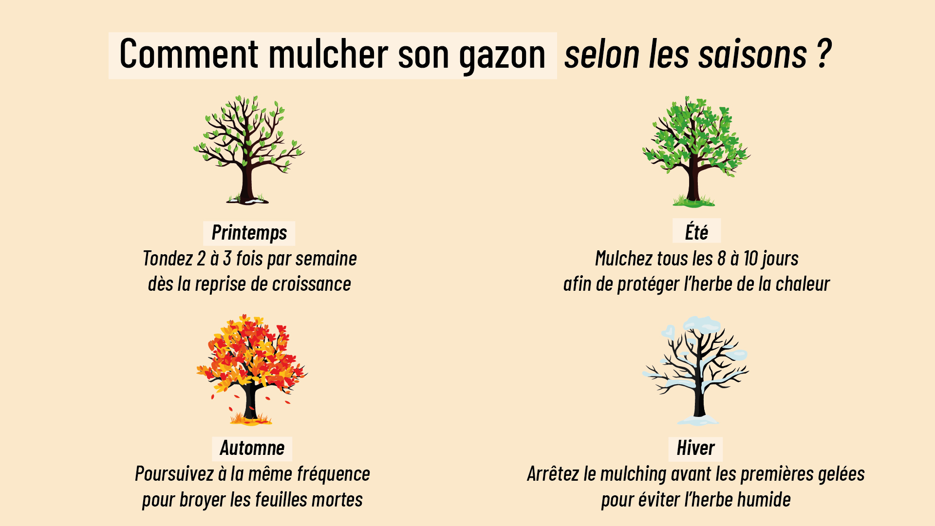 conseils pour mulcher son gazon selon les saisons