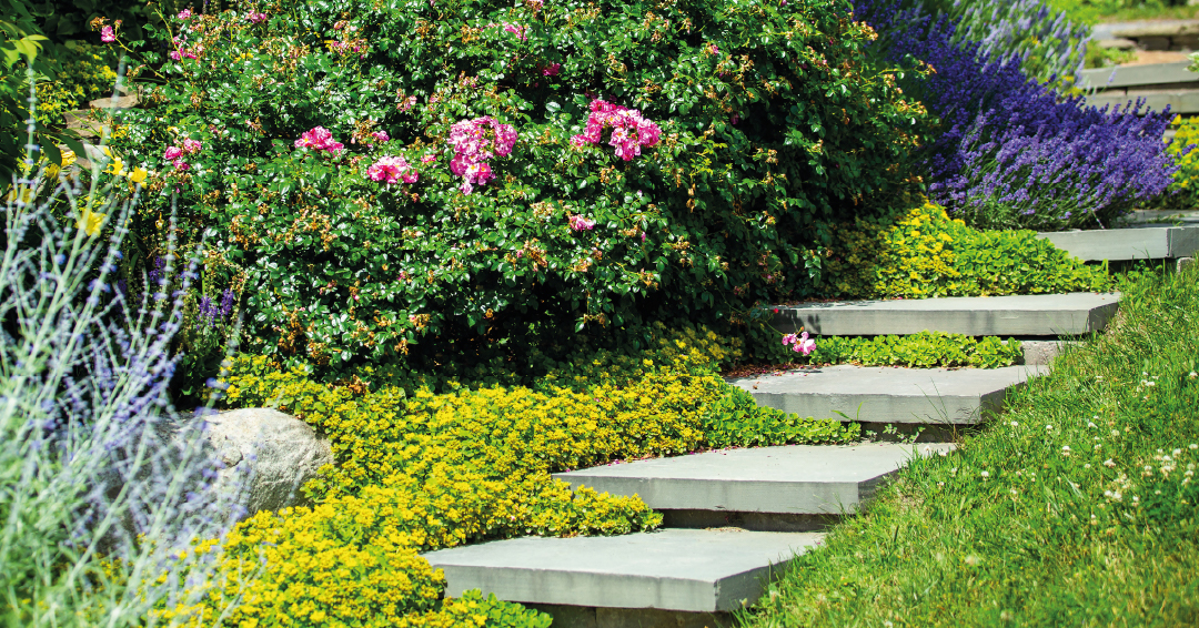 un escalier suspendu modulaire en béton désactivé