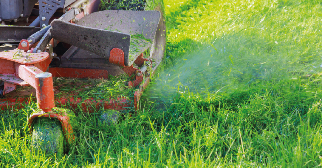 tondeuse mulching produisant des résidus de tonte pour un gazon vert et sain