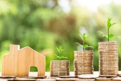 crédit impôt jardinage 50 pour cent déclaration fiscale avantage fiscal