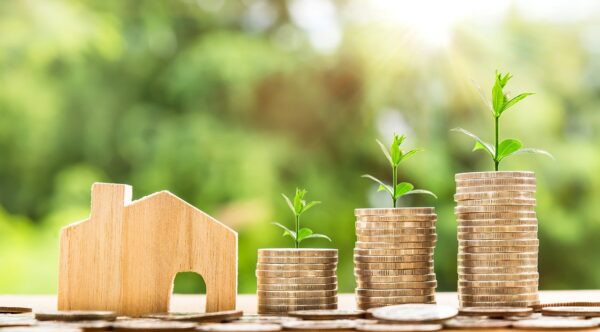 crédit impôt jardinage 50 pour cent déclaration fiscale avantage fiscal